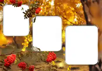 Efecto de fotos de la categoría Otros № 150527 Efecto de fotos de la categoría Otros № 150527