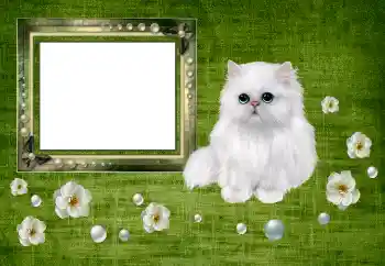 Efecto de fotos de la categoría Otros № 150550 Efecto de fotos de la categoría Otros № 150550