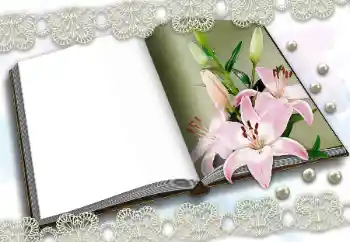 Efecto de fotos de la categoría Otros № 150570 Efecto de fotos de la categoría Otros № 150570