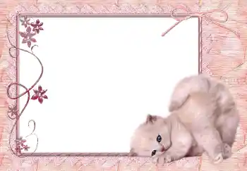 Efecto de fotos de la categoría Otros № 150650 Efecto de fotos de la categoría Otros № 150650