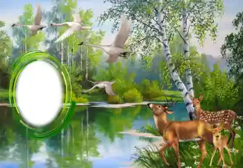 Efecto de fotos de la categoría Otros № 151671 Efecto de fotos de la categoría Otros № 151671