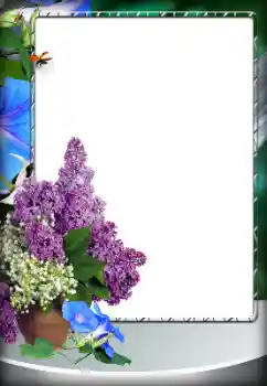 Efecto de fotos de la categoría Otros № 151796 Efecto de fotos de la categoría Otros № 151796