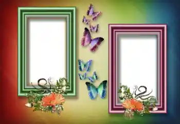 Efecto de fotos de la categoría Otros № 151817 Efecto de fotos de la categoría Otros № 151817