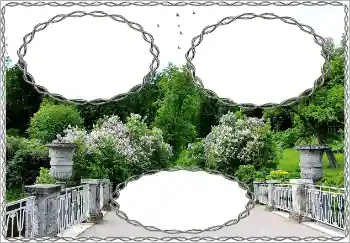 Efecto de fotos de la categoría Otros № 152936 Efecto de fotos de la categoría Otros № 152936