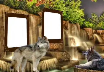 Efecto de fotos de la categoría Otros № 153016