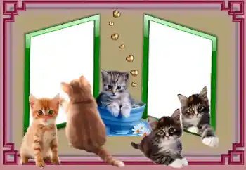 Efecto de fotos de la categoría Otros № 153045