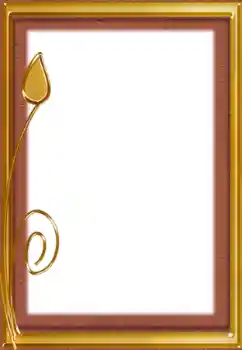 Efecto de fotos de la categoría Otros № 153069