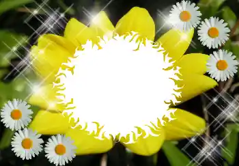 Efecto de fotos de la categoría Otros № 1530 Efecto de fotos de la categoría Otros № 1530