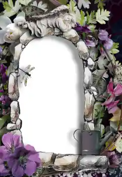 Efecto de fotos de la categoría Otros № 154479 Efecto de fotos de la categoría Otros № 154479