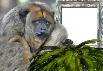 Efecto de fotos de la categoría Otros № 154503 Efecto de fotos de la categoría Otros № 154503