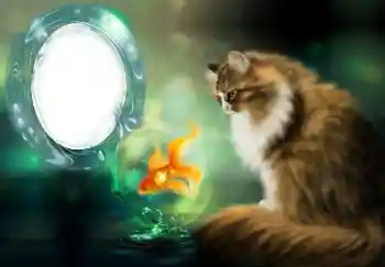 Efecto de fotos de la categoría Otros № 154509 Efecto de fotos de la categoría Otros № 154509