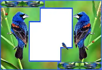 Efecto de fotos de la categoría Otros № 154512 Efecto de fotos de la categoría Otros № 154512