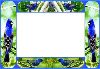 Efecto de fotos de la categoría Otros № 154514 Efecto de fotos de la categoría Otros № 154514