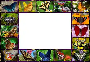 Efecto de fotos de la categoría Otros № 154545