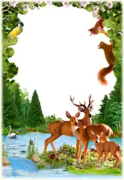 Efecto de fotos de la categoría Otros № 154547