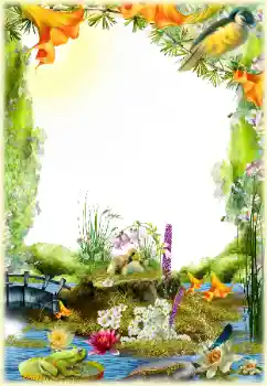 Efecto de fotos de la categoría Otros № 154548