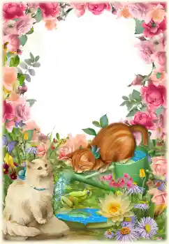 Efecto de fotos de la categoría Otros № 154549