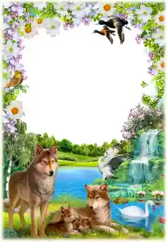 Efecto de fotos de la categoría Otros № 154550