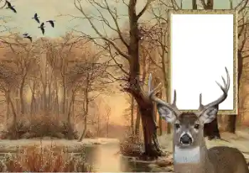 Efecto de fotos de la categoría Otros № 154607