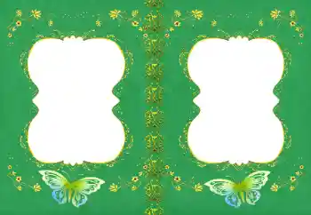 Efecto de fotos de la categoría Otros № 154700