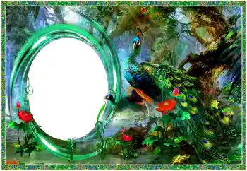 Efecto de fotos de la categoría Otros № 154704