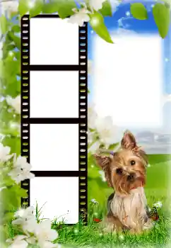 Efecto de fotos de la categoría Otros № 154718 Efecto de fotos de la categoría Otros № 154718