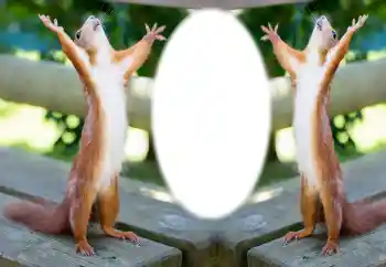 Efecto de fotos de la categoría Otros № 154733 Efecto de fotos de la categoría Otros № 154733