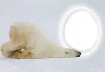 Efecto de fotos de la categoría Otros № 154735 Efecto de fotos de la categoría Otros № 154735