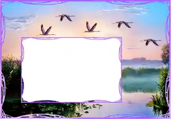 Efecto de fotos de la categoría Otros № 154759