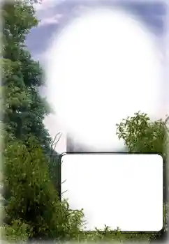 Efecto de fotos de la categoría Otros № 154780