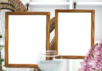 Efecto de fotos de la categoría Otros № 155807 Efecto de fotos de la categoría Otros № 155807