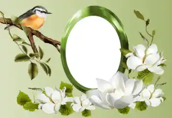 Efecto de fotos de la categoría Otros № 155868