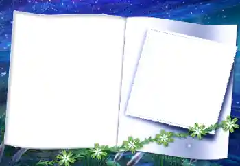 Efecto de fotos de la categoría Otros № 155968