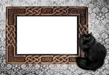 Efecto de fotos de la categoría Otros № 155997