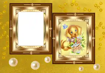 Efecto de fotos de la categoría Otros № 158391