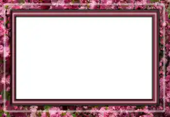 Efecto de fotos de la categoría Otros № 158431