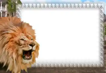 Efecto de fotos de la categoría Otros № 158462