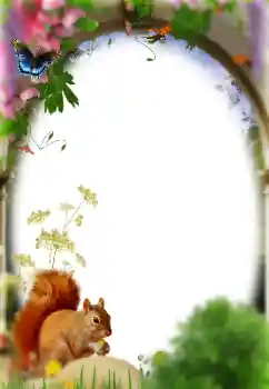 Efecto de fotos de la categoría Otros № 158476