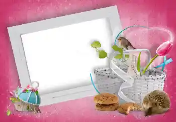 Efecto de fotos de la categoría Otros № 15919