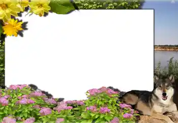 Efecto de fotos de la categoría Otros № 159462