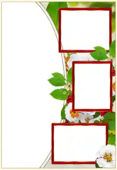 Efecto de fotos de la categoría Otros № 159529 Efecto de fotos de la categoría Otros № 159529