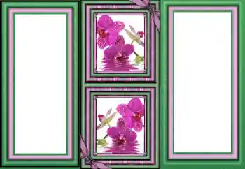 Efecto de fotos de la categoría Otros № 160589 Efecto de fotos de la categoría Otros № 160589