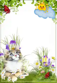 Efecto de fotos de la categoría Otros № 160659 Efecto de fotos de la categoría Otros № 160659