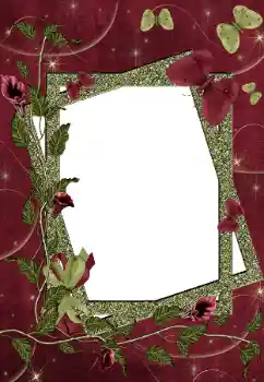 Efecto de fotos de la categoría Otros № 160748 Efecto de fotos de la categoría Otros № 160748