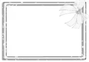 Efecto de fotos de la categoría Otros № 160788 Efecto de fotos de la categoría Otros № 160788