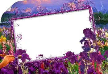 Efecto de fotos de la categoría Otros № 160843 Efecto de fotos de la categoría Otros № 160843