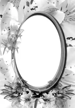 Efecto de fotos de la categoría Otros № 160896 Efecto de fotos de la categoría Otros № 160896