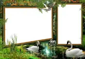 Efecto de fotos de la categoría Otros № 160922 Efecto de fotos de la categoría Otros № 160922