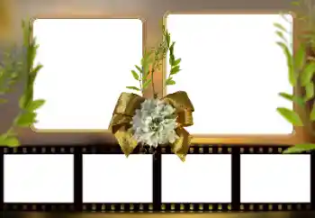 Efecto de fotos de la categoría Otros № 161948 Efecto de fotos de la categoría Otros № 161948