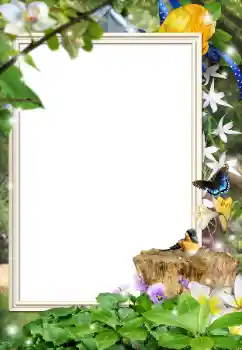 Efecto de fotos de la categoría Otros № 162044